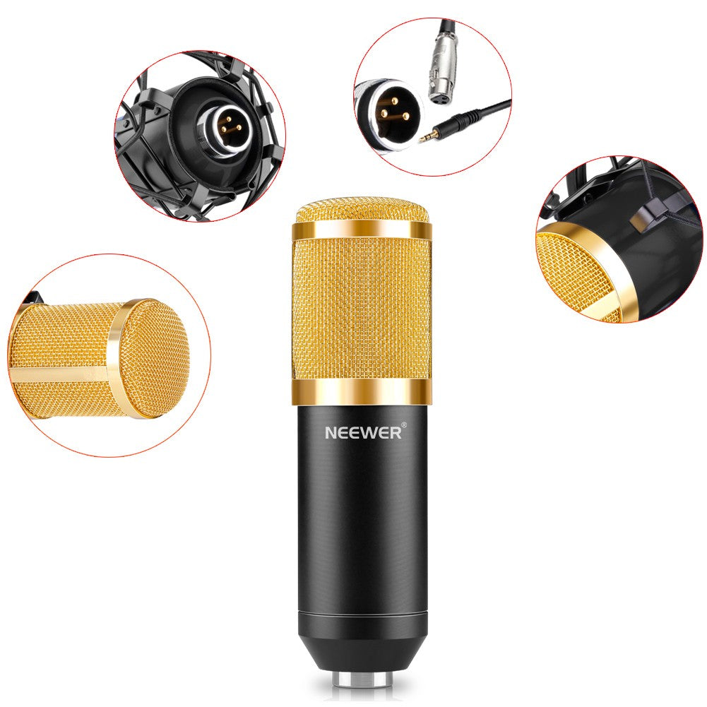 Microphone Set with Gold Accessories and Shock Mount