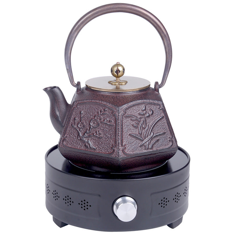 Japanese Style Cast Iron Teapot for Brewing Tea