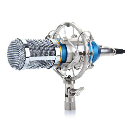 Microphone Set with Gold Accessories and Shock Mount