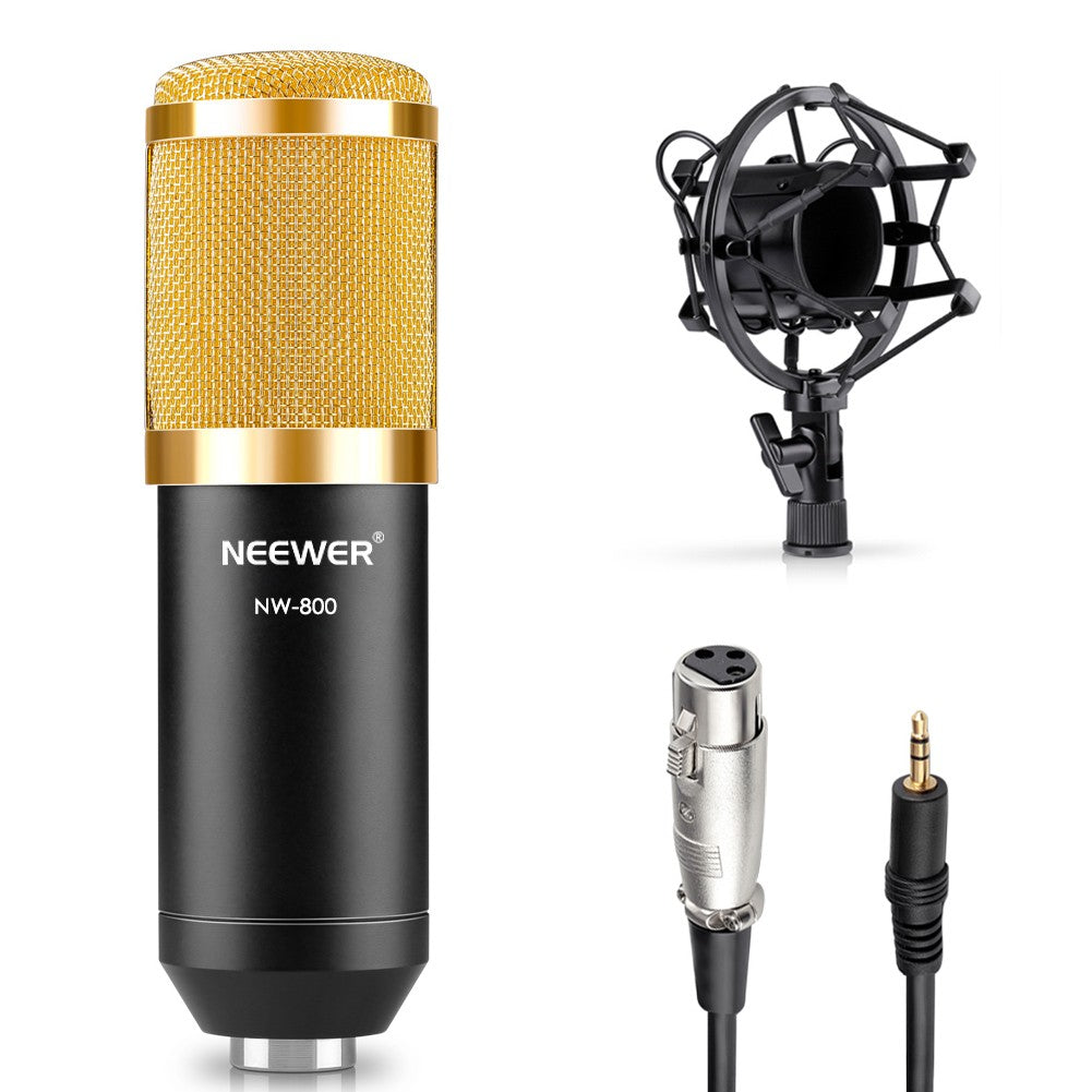 Microphone Set with Gold Accessories and Shock Mount