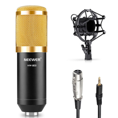 Microphone Set with Gold Accessories and Shock Mount