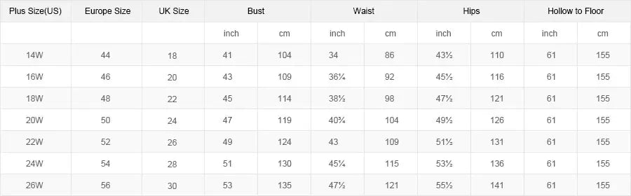 Size chart for plus size dresses including bust, waist, hips measurements and hollow to floor details in inches and cm.