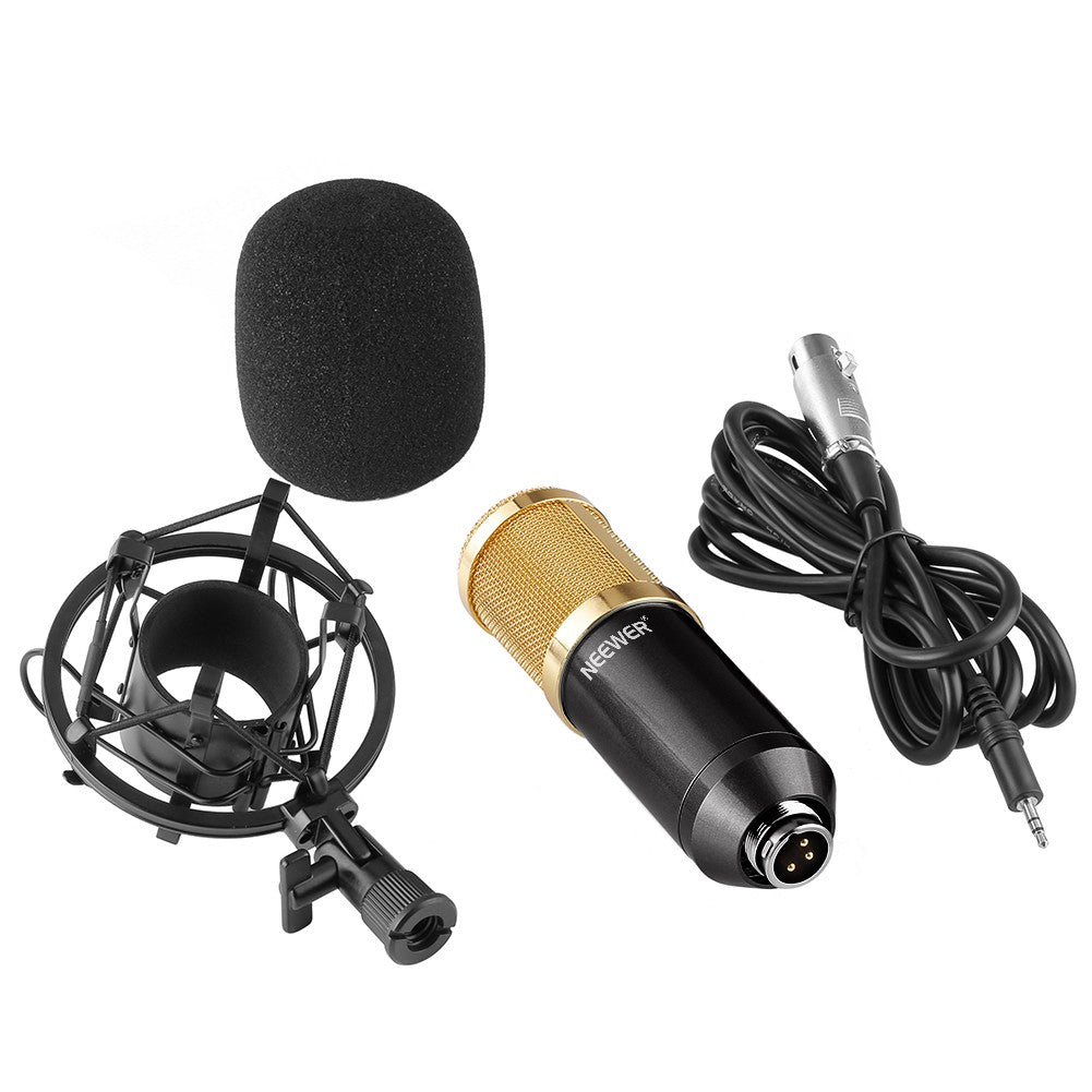 Microphone Set with Gold Accessories and Shock Mount