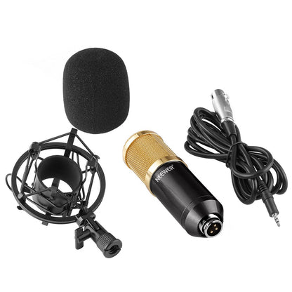 Microphone Set with Gold Accessories and Shock Mount