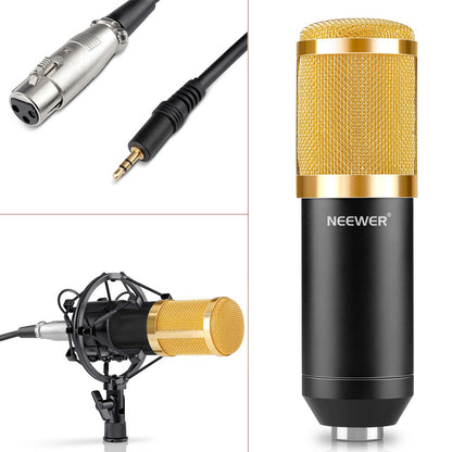 Microphone Set with Gold Accessories and Shock Mount