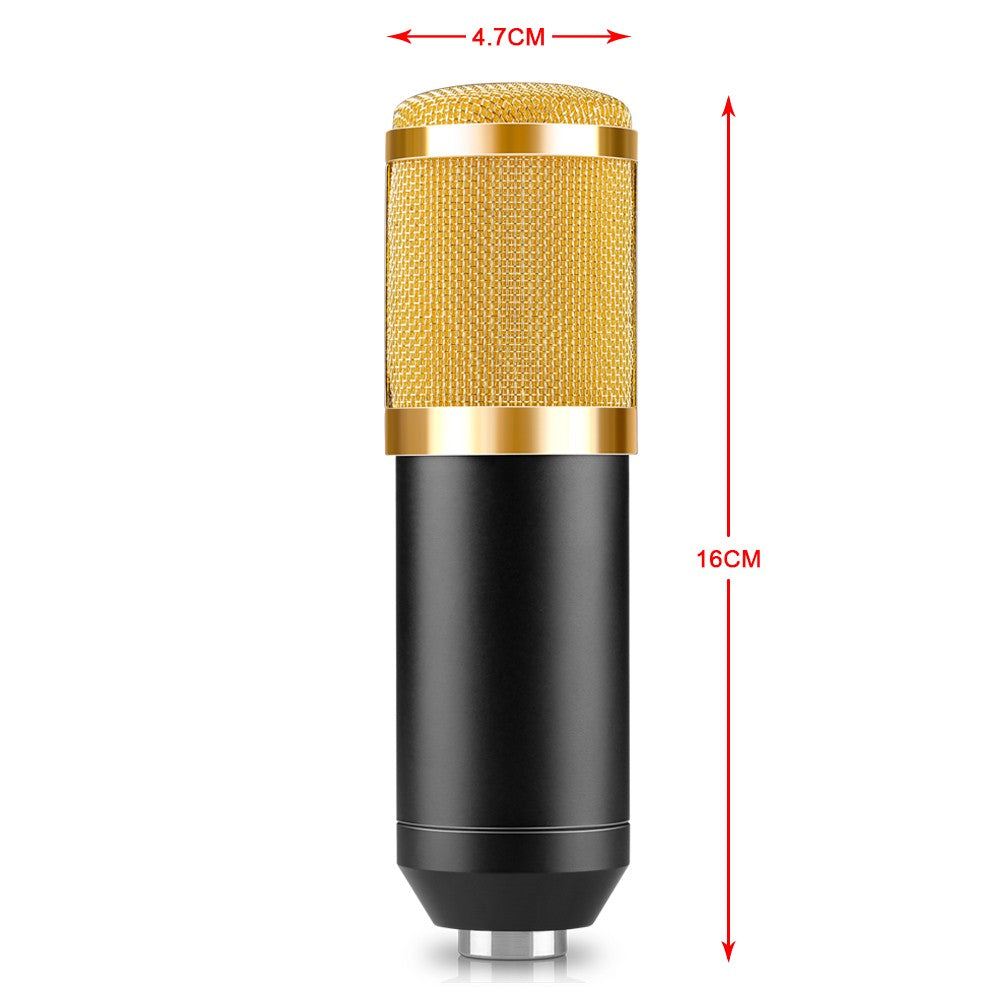 Microphone Set with Gold Accessories and Shock Mount