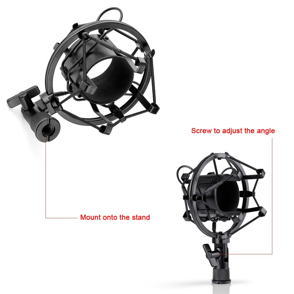Microphone Set with Gold Accessories and Shock Mount