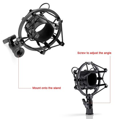 Microphone Set with Gold Accessories and Shock Mount