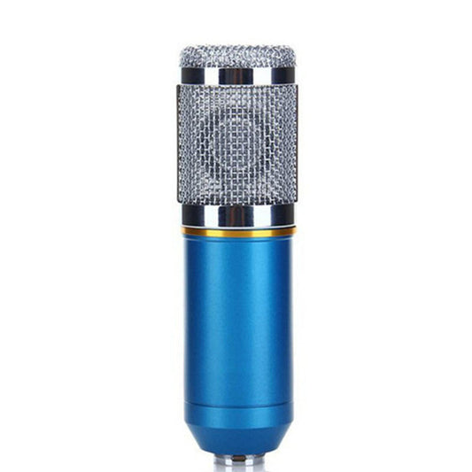 Microphone Set with Gold Accessories and Shock Mount