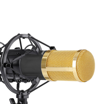 Microphone Set with Gold Accessories and Shock Mount